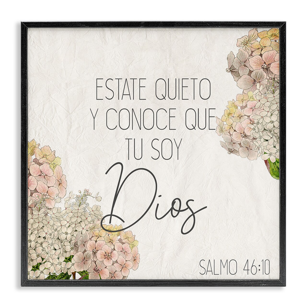 Stupell Industries Estate Quieto Salmo 46:10 Framed Giclee Art